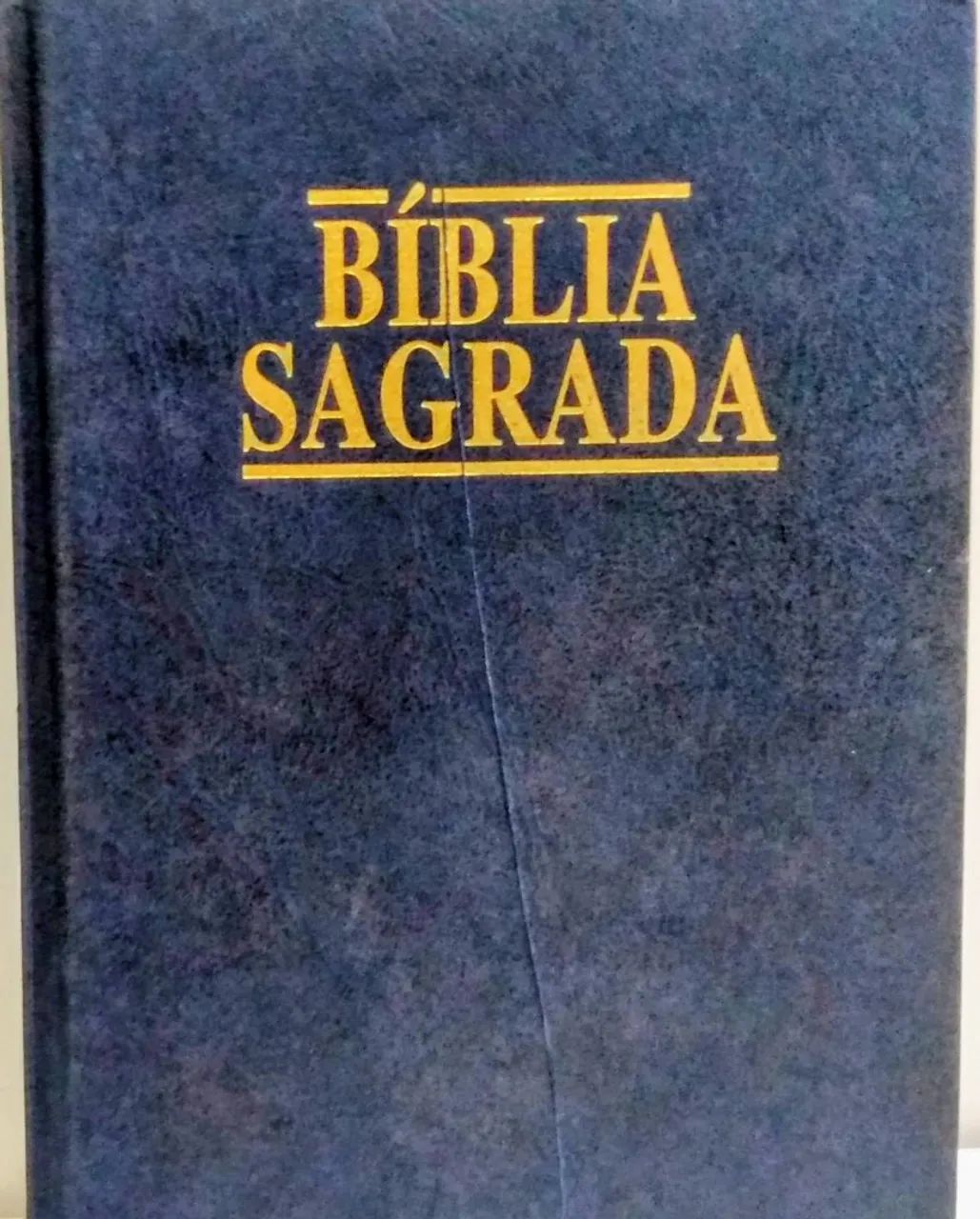 Bíblia Sagrada - revista e atualizada - Almeida com Auxílio ao Leitor - SBB 