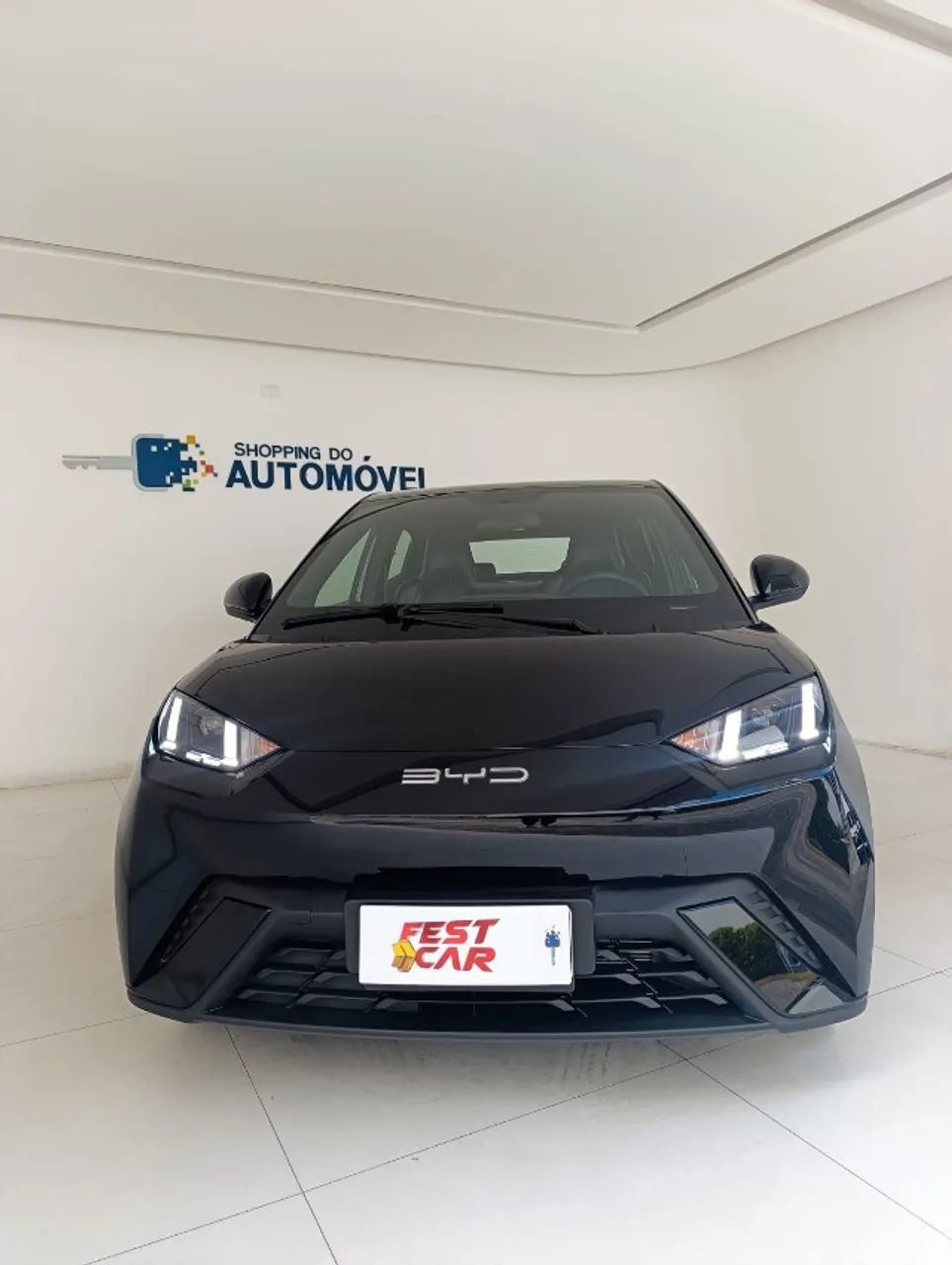 BYD Dolphin Mini (Elétrico) 2025 - Foto 2