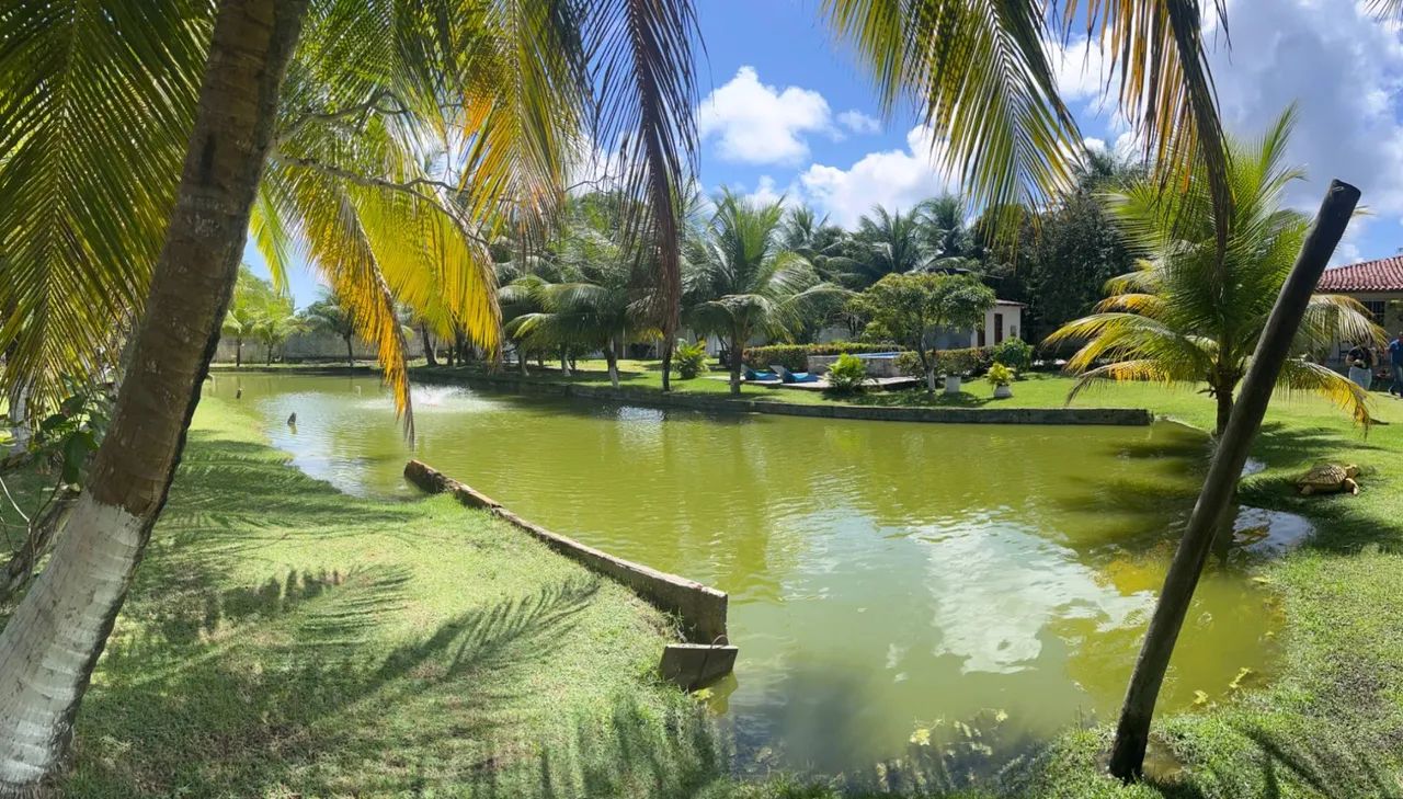 CHÁCARA À VENDA | BARRA NOVA  AL - Foto 3