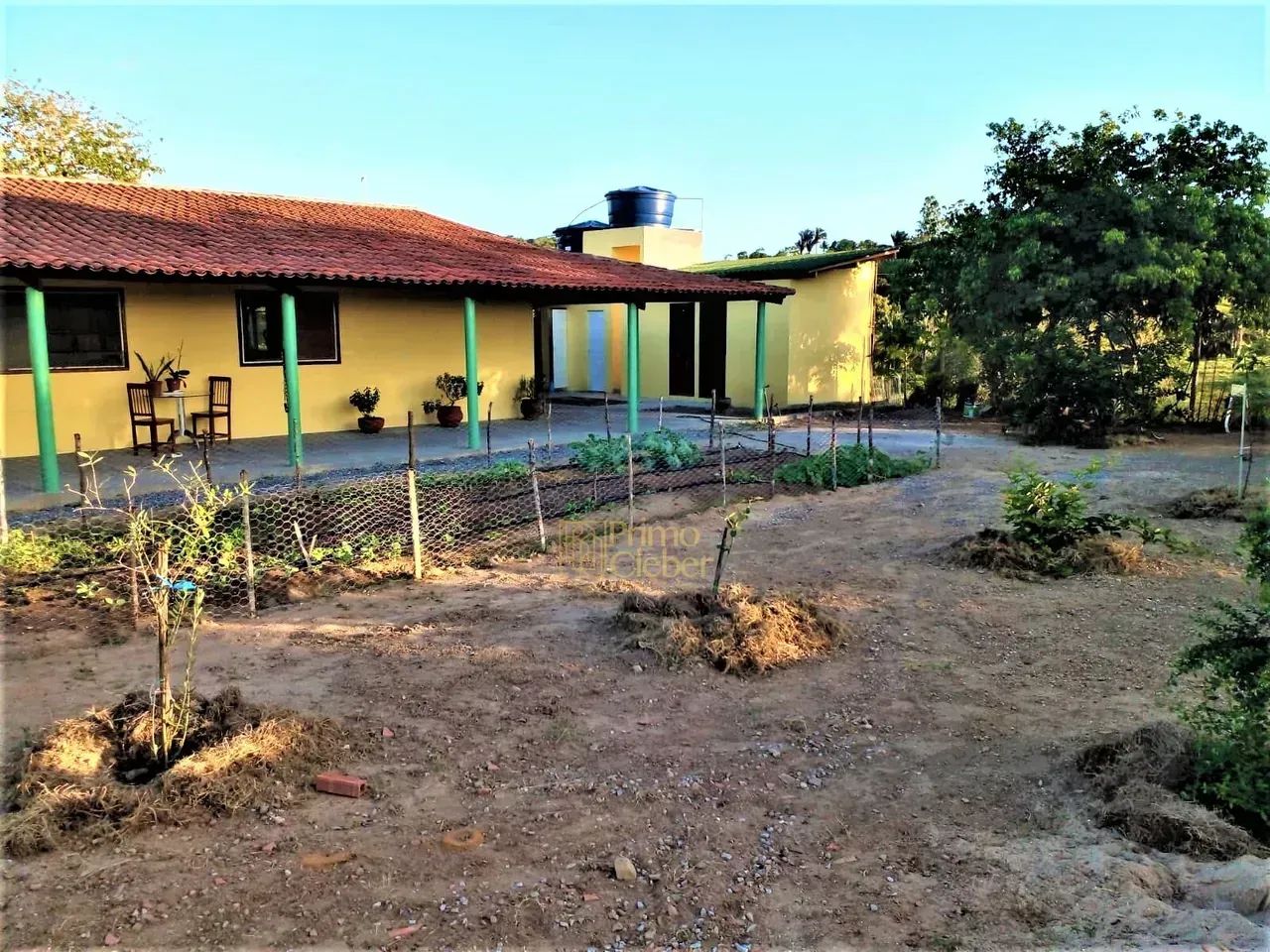 Oportunidade, Sítio Á Venda em Viçosa, Alagoas - Foto 2