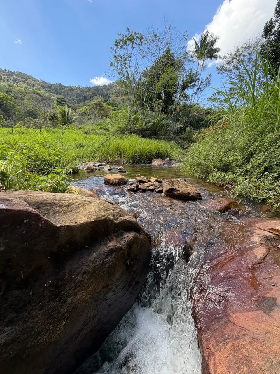 Sítios e chácaras  - Foto 4