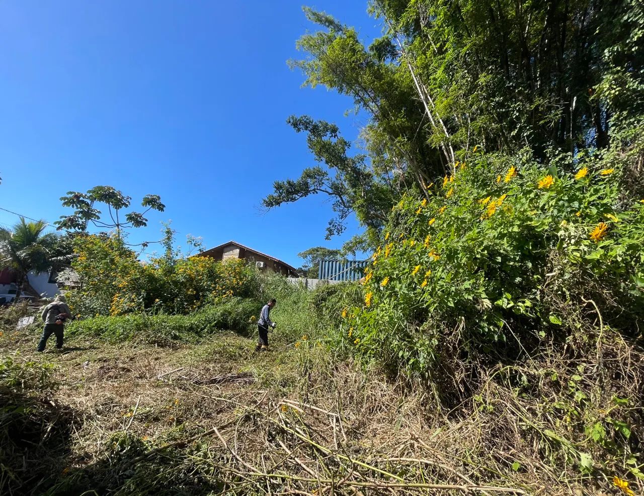 Oportunidade Lindo terreno Rio Tavares  - Foto 5