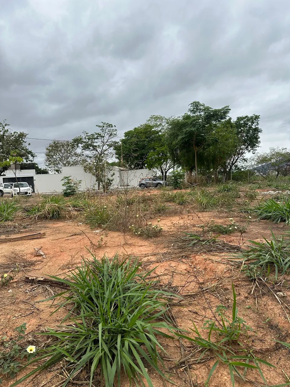 Lote cidade nova 430 m2  - Foto 5