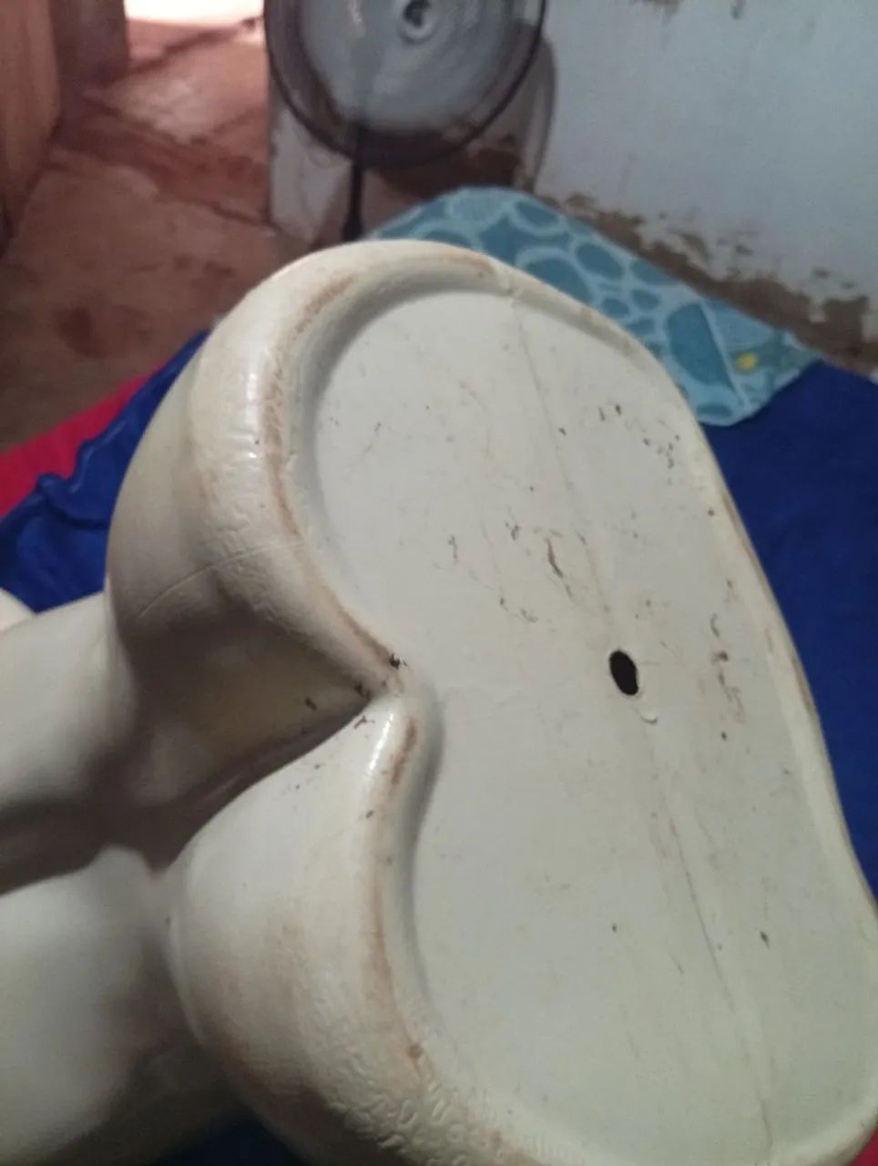 Busto manequim 