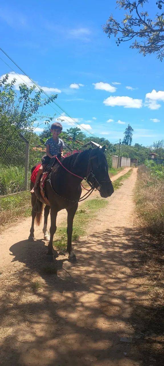 Égua  - Foto 2