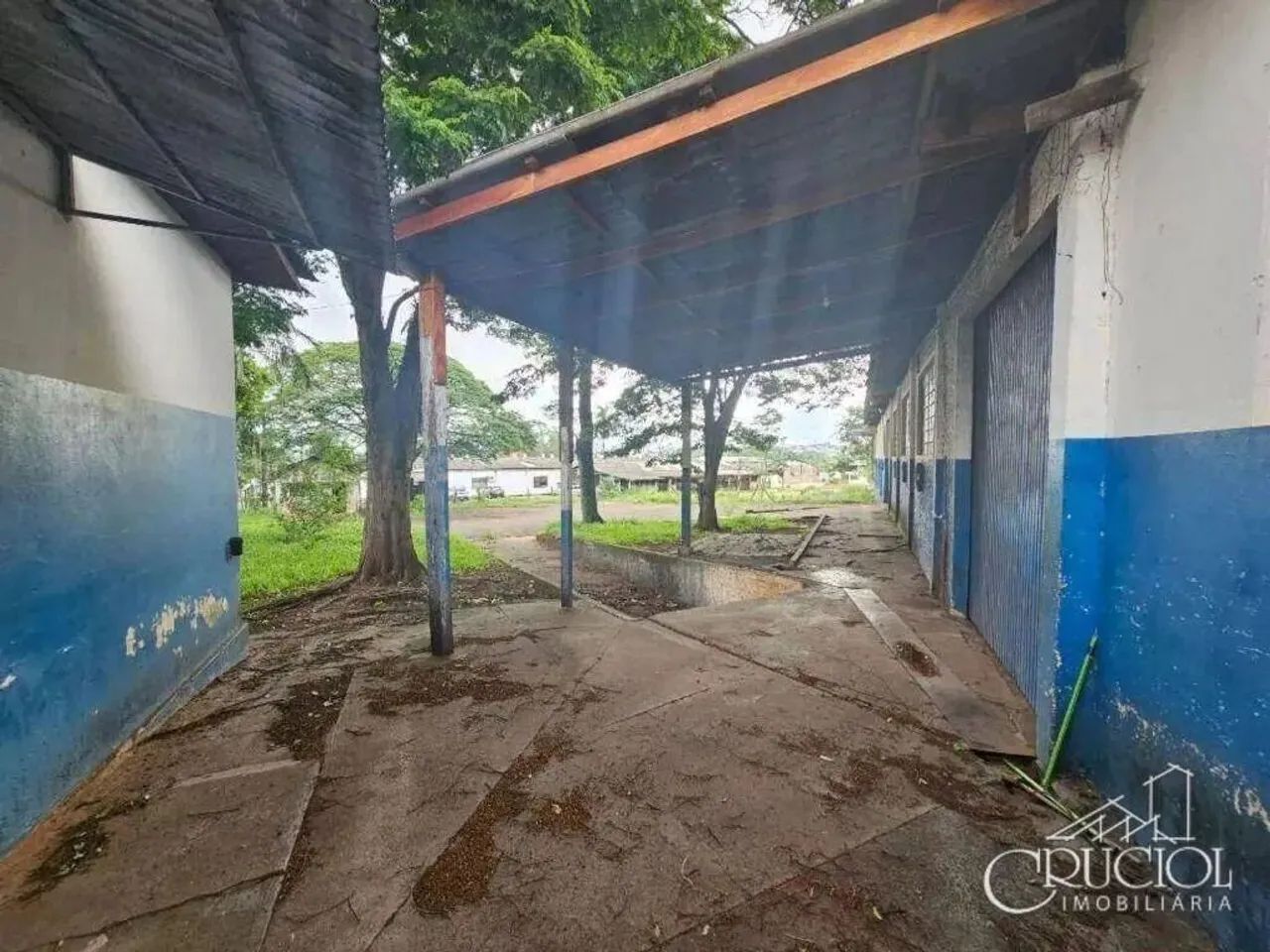 Barracão para Locação - Foto 3