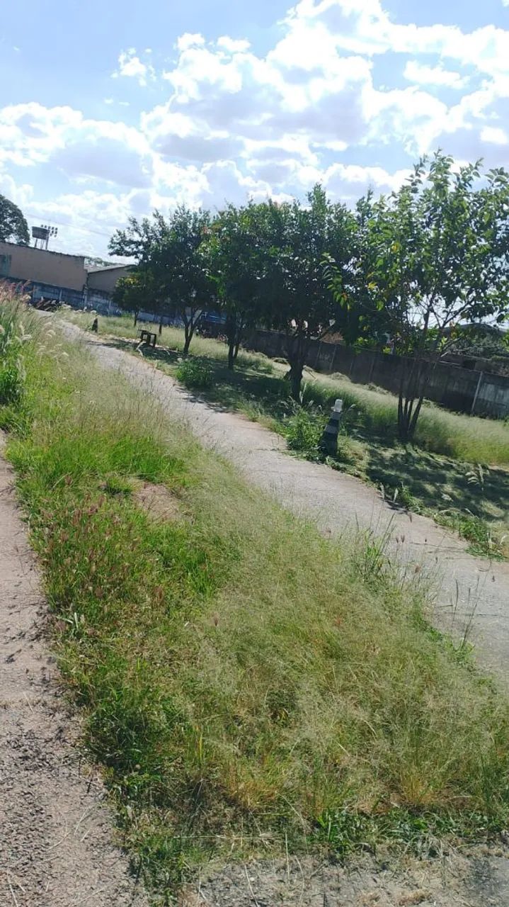 WELINGTON ROÇAGEM É JARDINAGEM  - Foto 3
