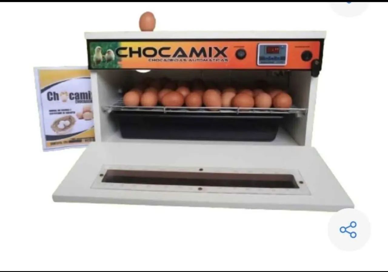 Chocadeira  - Foto 4