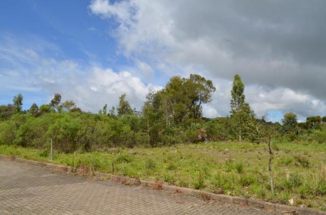 Terreno residencial à venda, vista do vale, canela. - Foto 9