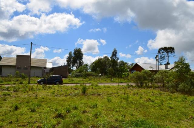 Terreno residencial à venda, vista do vale, canela. - Foto 8
