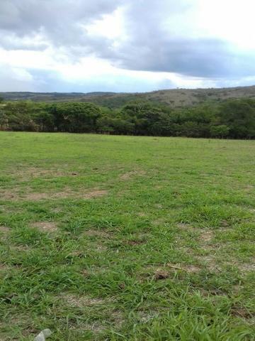 Santo Antônio do Descoberto - GO - Foto 12