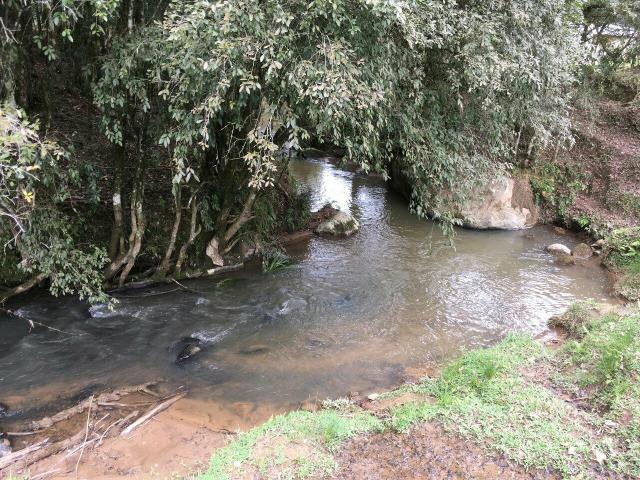 Vendo chácara linda - Foto 4