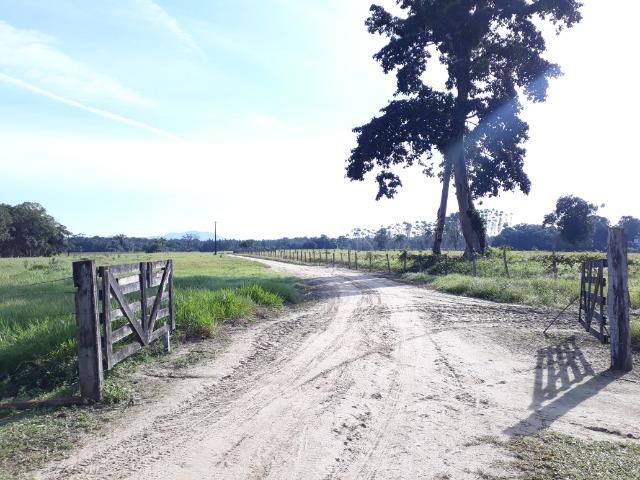 Fazenda Plana em Itapoá com Valor de Ocasião, Aceita parte em Permuta - Foto 13