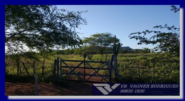 VR-Belíssima Fazenda 130ha com Estrutura, Localização Privilegiada, Valor Super Atrativo - Foto 8
