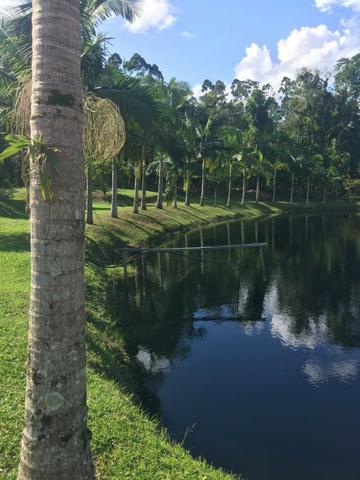 Fazenda Plana em Itapoá com Valor de Ocasião, Aceita parte em Permuta - Foto 8