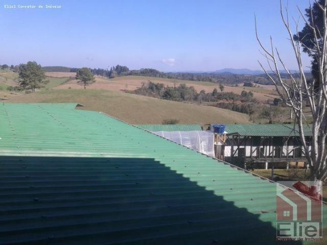 Fazenda Linda, Ideal Até para se Montar um Hotel Fazenda - Foto 9