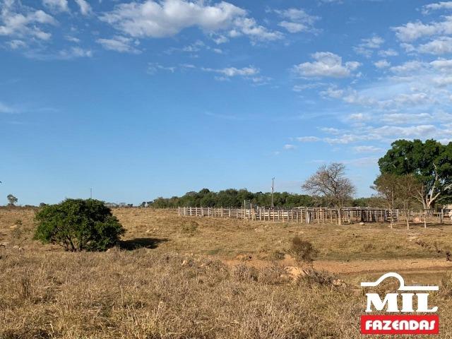 4 km de margens do Rio Araguaia. Fazenda 96 alqueires 464.64 Hectares - Aragarças-GO - Foto 7