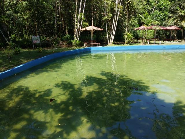 Lote Condomínio Ecológico Denpasa - Foto 7