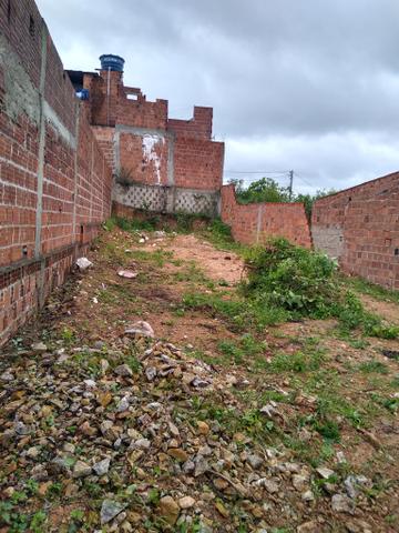 Venda - Foto 7