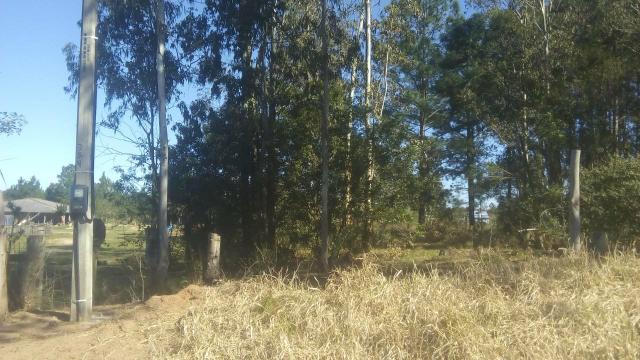 Terreno para sítio - Foto 3