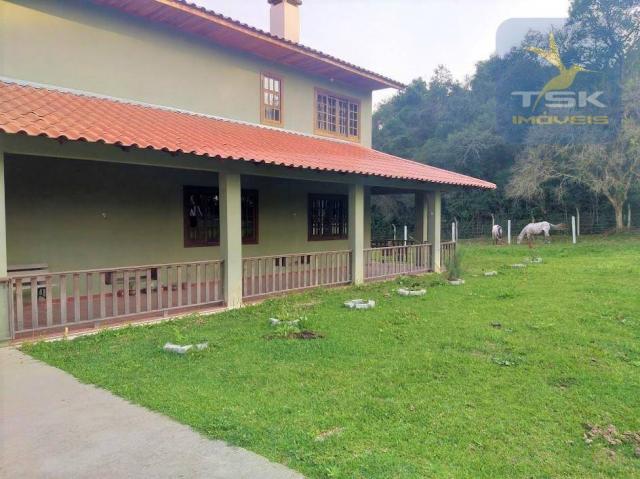 Ch0181 são josé dos pinhais chácara 4 alq. plana 950 m² construído 33 km ctba - Foto 5
