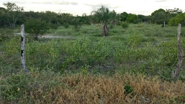 Terreno para Chácara ja cercado - Foto 8