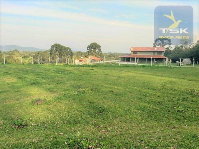 Ch0181 são josé dos pinhais chácara 4 alq. plana 950 m² construído 33 km ctba - Foto 11