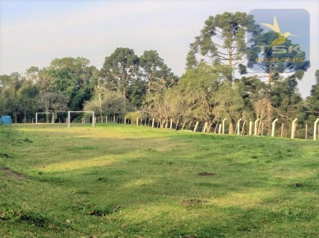 Ch0181 são josé dos pinhais chácara 4 alq. plana 950 m² construído 33 km ctba - Foto 9