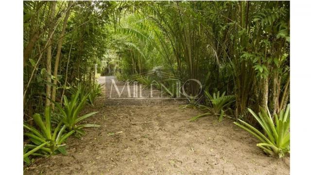 Terreno à venda em Taipu de fora, Maraú cod:57863649 - Foto 13