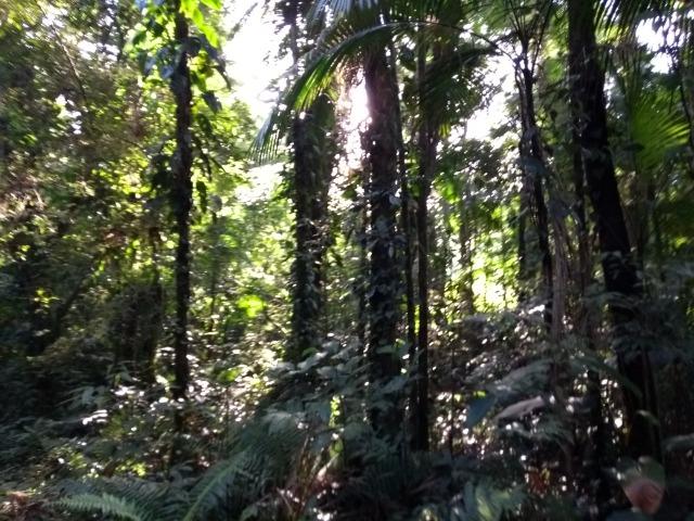 Terreno medindo 17 mil metros com rio e documentação - Foto 9