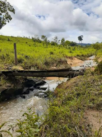 Vendo essa Fazenda - Foto 5