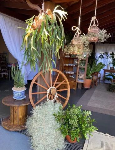 Roda de carroça decorativa 