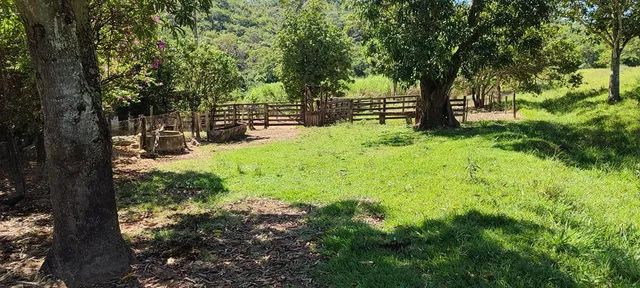 * chácara a venda em são mateus com 6.5 alqueires  - Foto 2