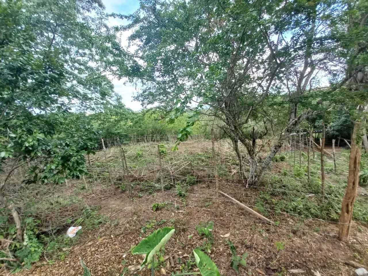 Terreno com 528 m² (16x33) no Bairro das Nações - Foto 4