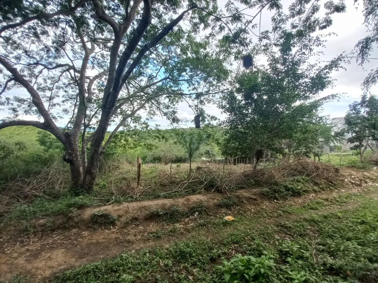 Terreno com 528 m² (16x33) no Bairro das Nações - Foto 2