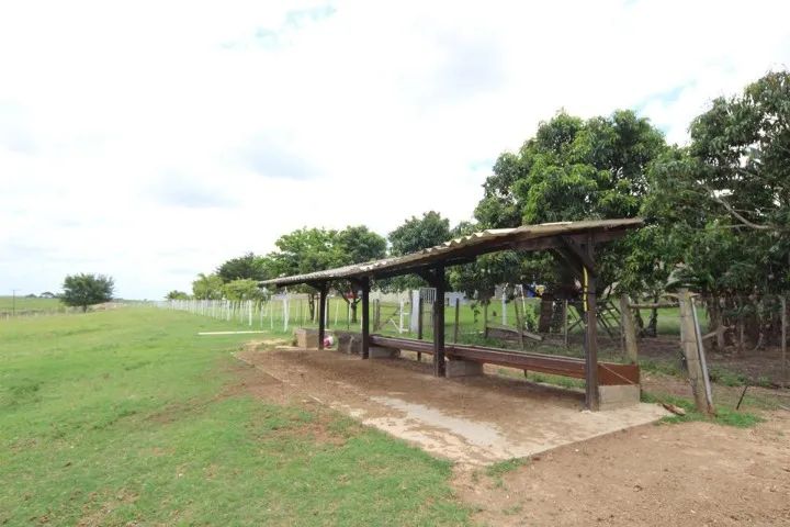 Itu Região Lindo Haras 6 Hectares  - Foto 4