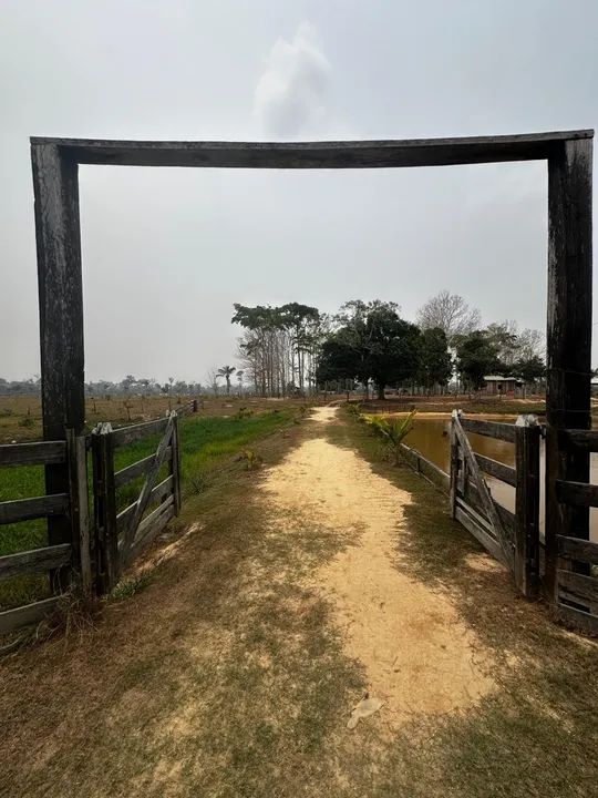  Vendo uma colônia de 15 hectares, no ramal da alcobras no km15  - Foto 2