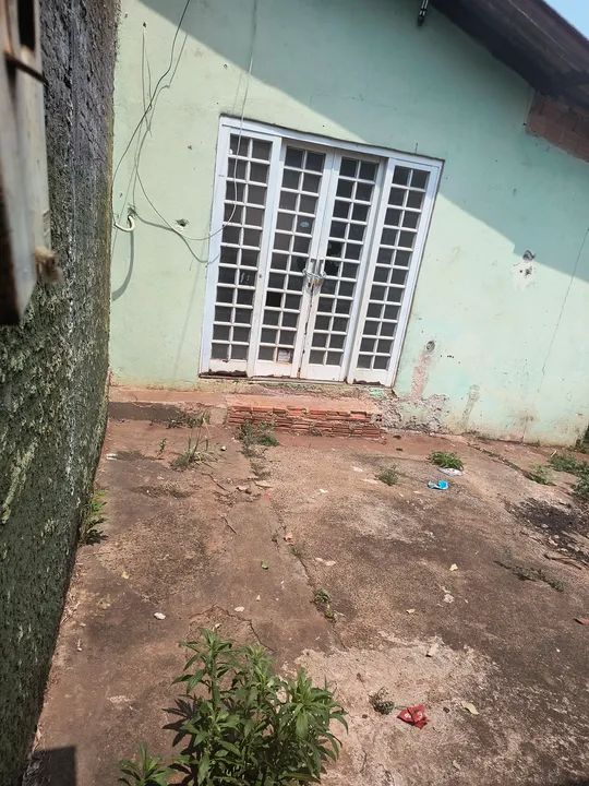 foto - Londrina - Cambezinho