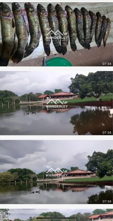 Sítio próximo Uberlândia 