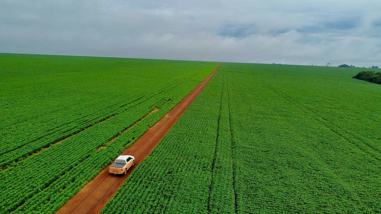 Fazenda 700 hect em União do Norte MT. Pede 800 saca por hec