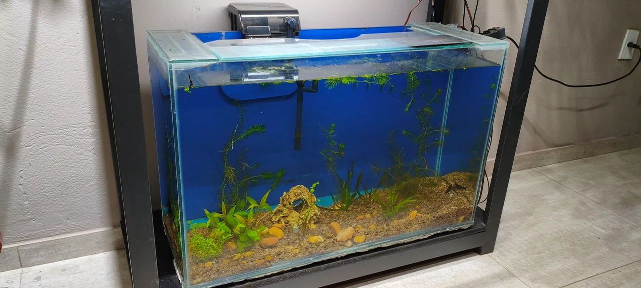 Aquário 120 Litros completo 