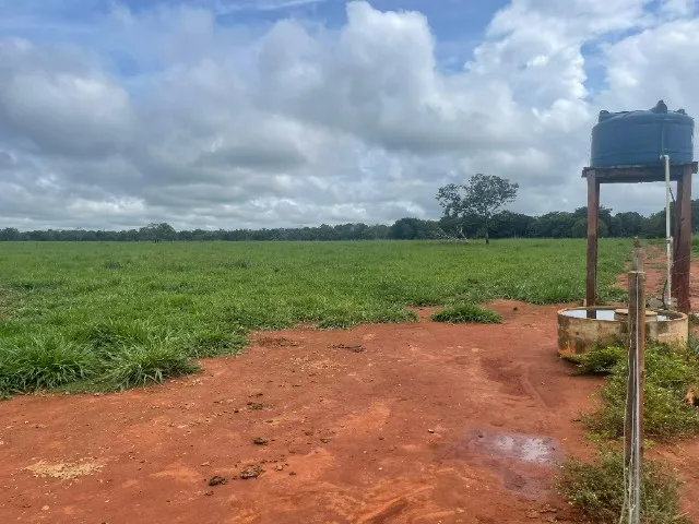 Fazenda dupla aptidão à venda no Vale do Araguaia no Tocantins