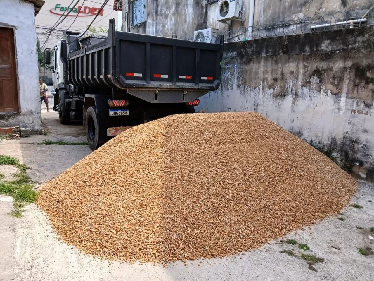 SEIXO COMUM 64220710518659124