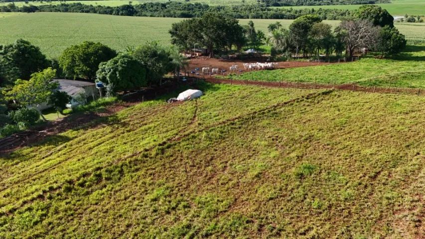 Chácara de 6 Hectares Bem Montada em Jaraguari-MS!