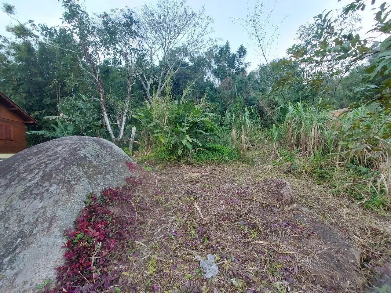 Terreno em Sambaqui - Foto 5