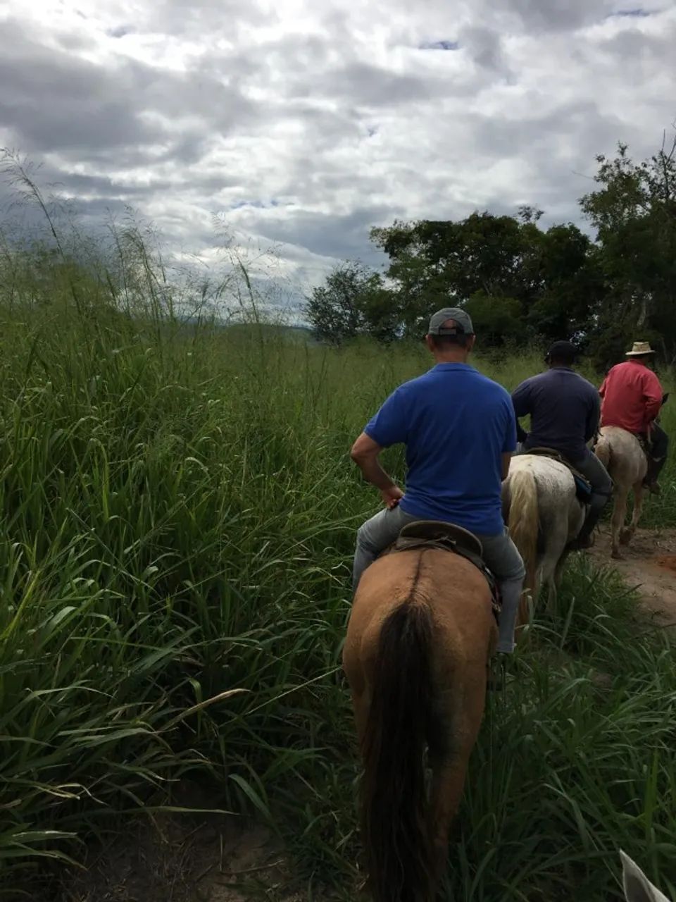 FAZENDA EM IBITUPÃ - 800 HECTARES - Foto 3
