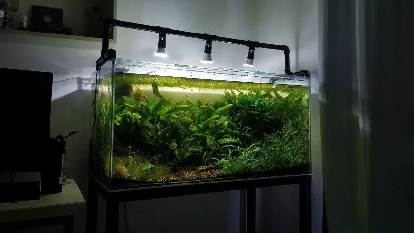 VENDO AQUÁRIO 250 LITROS COMPLETO + MÓVEL DE METALON