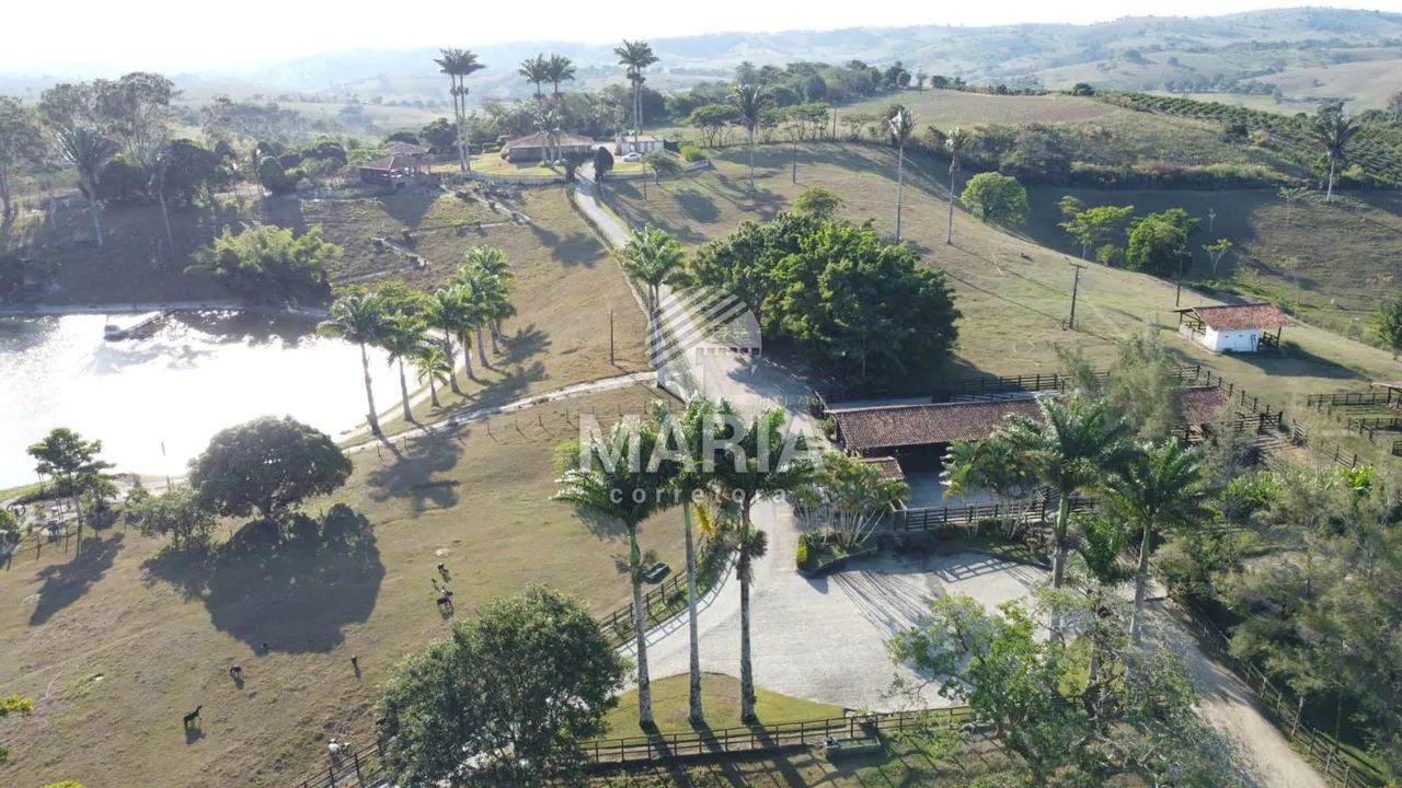 Fazenda à venda com 300 hectares com excelente acesso e uma extraordinária vista!! - Foto 8