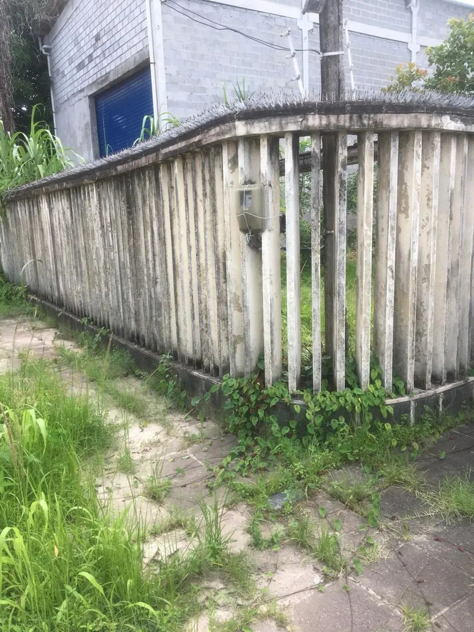 Ótimo Terreno 250m2, Imbiribeira a 80m Av. Mascarenhas de Morais, Financio, Ac Carro - Foto 4