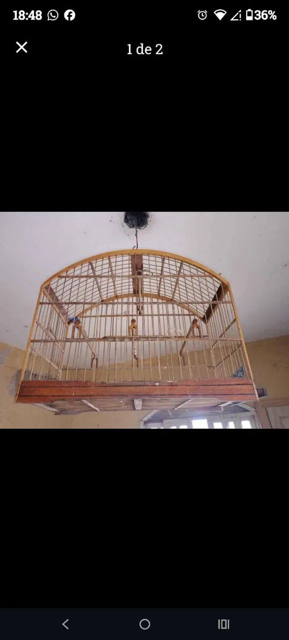 GAIOLA DE TRINCA FERRO E PAPAGAIO 